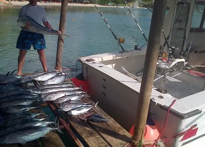 Big Game Fishing, 32ft Cabin Cruiser Boat, Mauritius