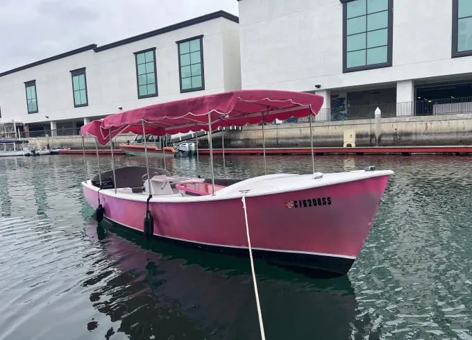 21ft Pretty Pink Luxury Duffy Boat Cruises In South Long Beach