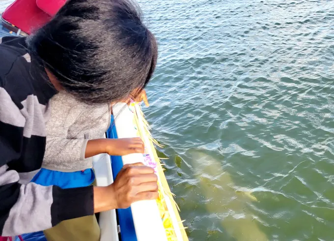 Sunset Dolphin Sightseeing Tour in Melbourne, Florida