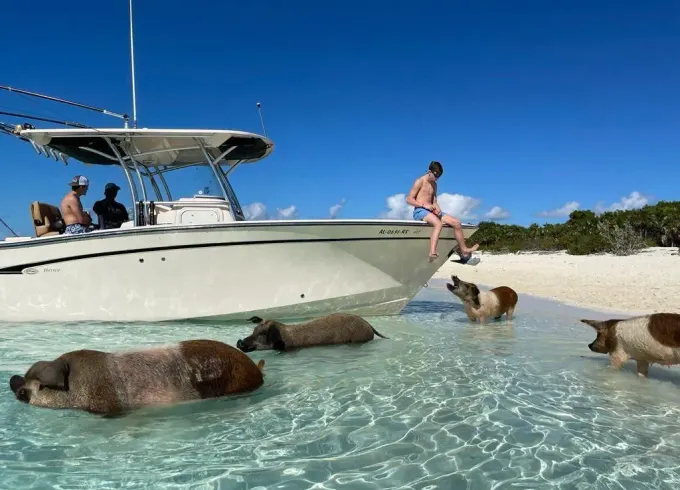 Luxury Grady-White 306 Sport Fisherman Yacht Private Charter in Nassau