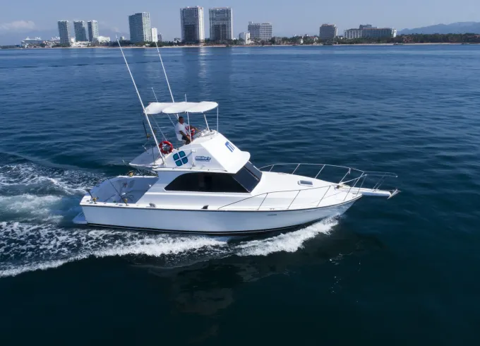 Bertram 38ft lovely Yacht perfect for Cruising & Sportfishing