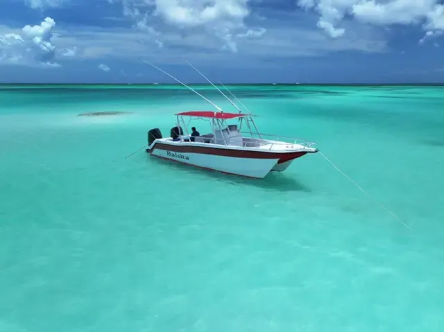 Private Saona Island Cruise (All-Inclusive)