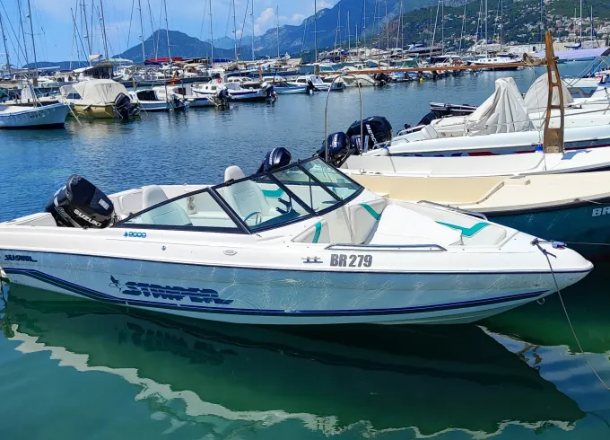 Seaswirl Striper Bowrider in Bar