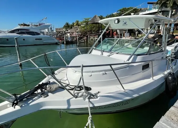 Best Fishing Charter in Cancun/Garanteed Catch