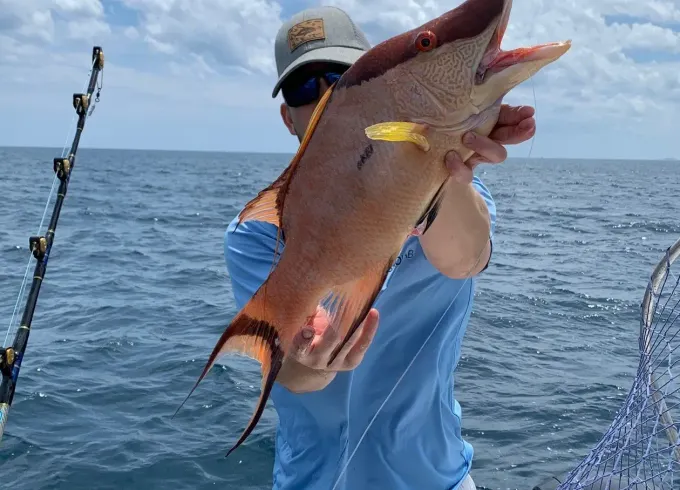 Guided Offshore Fishing Trips in Boca Raton, Florida!