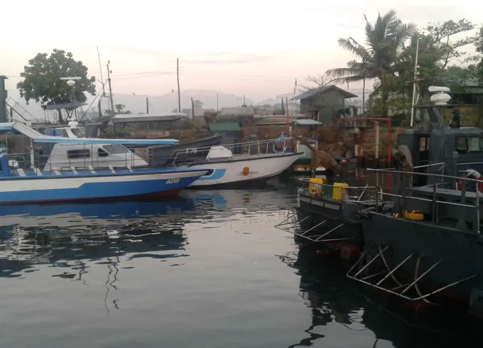 Whale Watching in Galle, Sri Lanka
