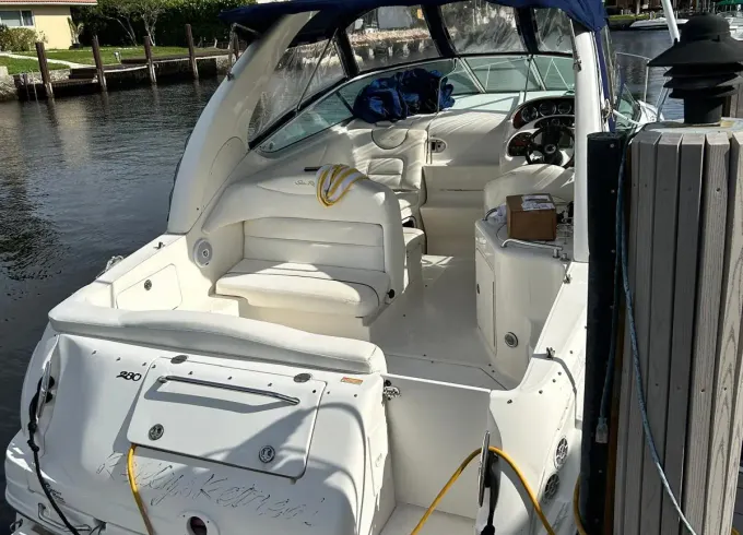 Swimming at Sandbars, Raccoons, and Millionaire Homes: Discover Miami!