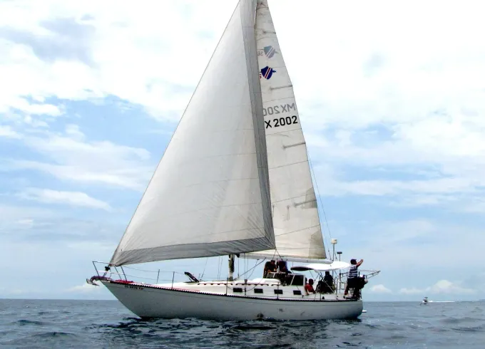 Lancer 36 Sailing Sloop for 8 Passenger in Puerto Vallarta