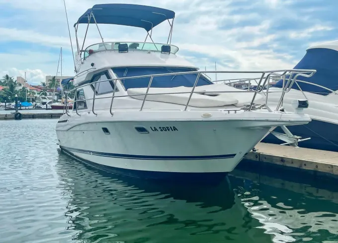 LA SOFIA | Bayliner 36ft Yacht for Cruising and Sportfishing at PV.