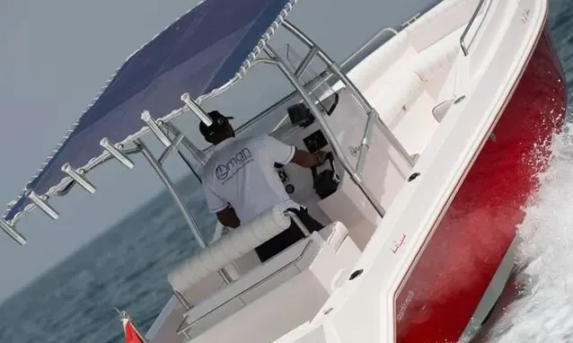 Sapphire 29" Power Boat in Oman
