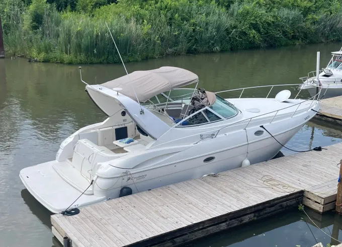 36' Cruisers Yacht Captained Pleasure Boat Charter (6 People)
