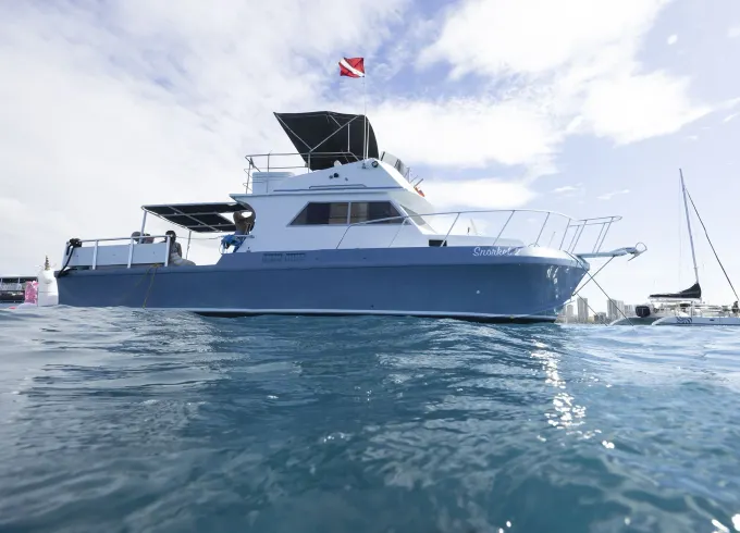 Private Snorkel tours, Day charters, Sunsets, Cocktail cruise