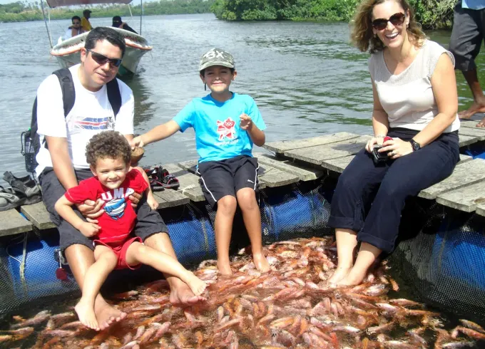 Bentota Boat Safari Tour