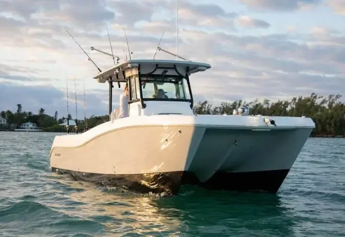 "Zen Dog" World Cat 325 cc Boat Rental in St. Petersburg, Florida