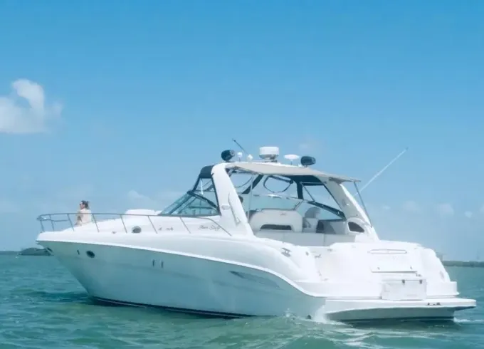 Yacht 46' Sea Ray Sundancer | Free pick up transportation hotel marina one way