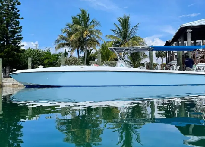 45ft Speedboat Cobalt Tour to swimming pigs and turtles in Eleuthera