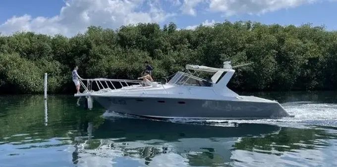 38ft Troyan Motor Yacht Charter in Cancún - Explore Isla Mujeres & More