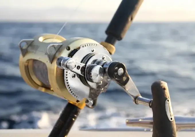 Enjoy 5-Hour Private Sport Fishing Charter Trip In Cabo San Lucas