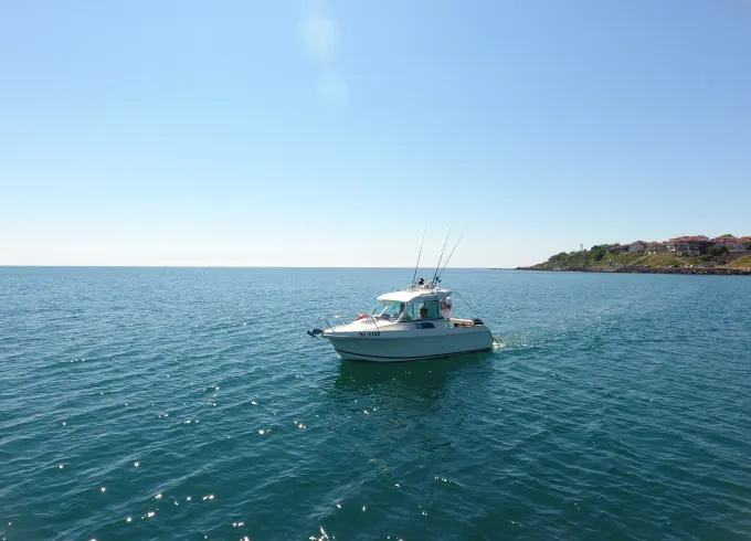 Vivaneau Fishing Team  4 hour  fishing trip around Burgas Bay
