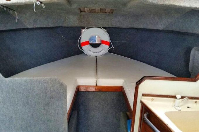 Nuevo Vallarta Fishing Sea Ray 34'