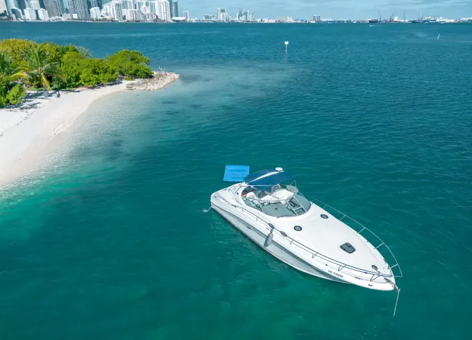 Best Price in Palm Beach. NO Fees! 34ft Yacht - 12 guests - half day.