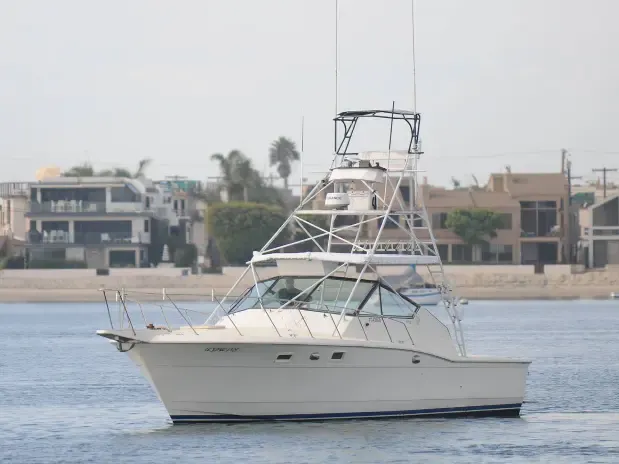 40ft Mission Bay Party Boat - 100% Legal and Legitimate
