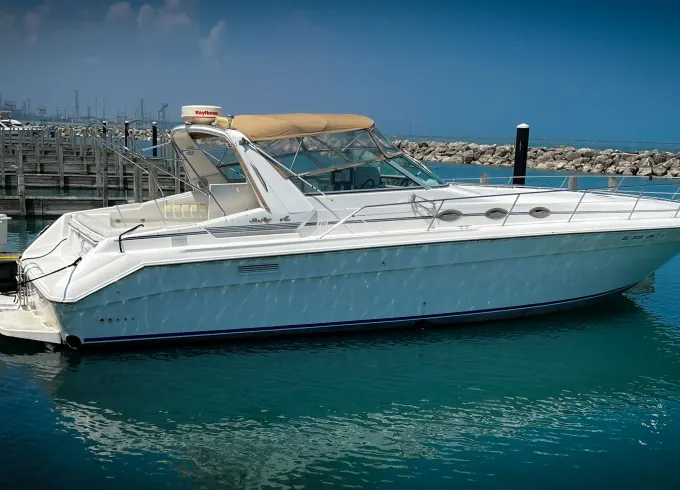 See the Chicago’s Stunning Lakefront Aboard 46ft Sea Ray Sundancer Motor Yacht