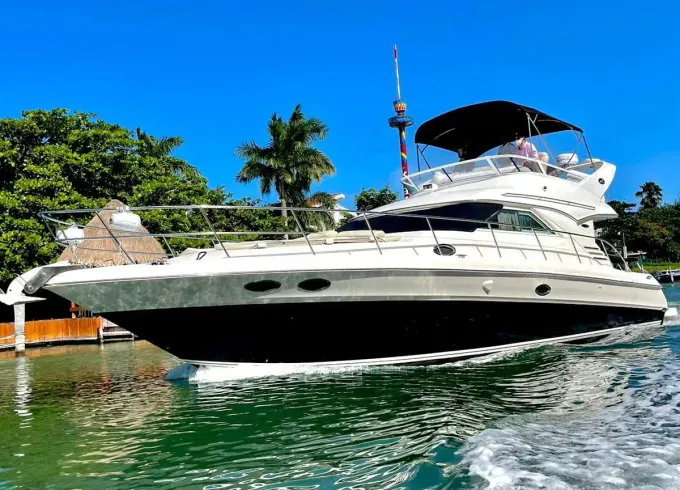 Beautiful Sea Ray 42 Footer Flybridge Yacht