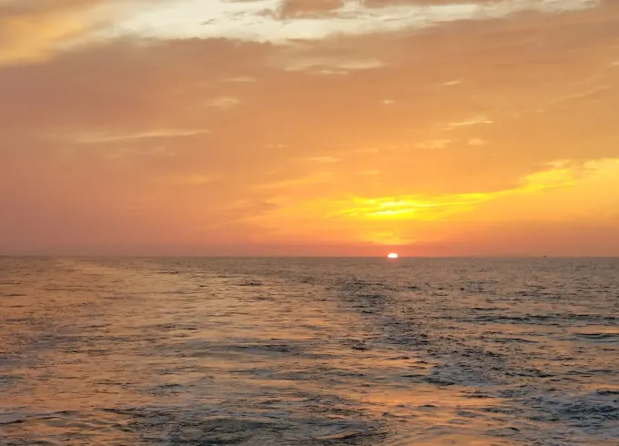 Cruise the San Diego Coastline with 29' Grady White for up to 6 people