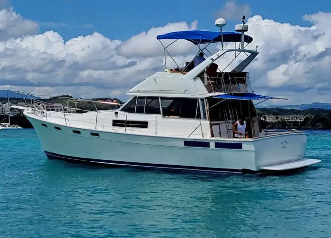 🛥️⚓️Amazing Boat Charter and VIP Experience in Cabarete, Puerto Plata Province.