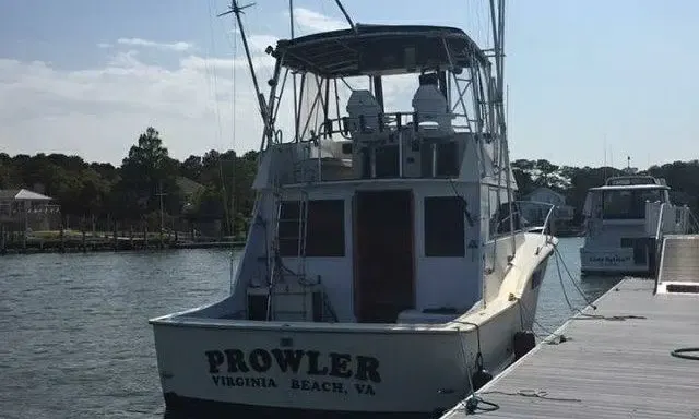 Inshore/Offshore Fishing Trip in Norfolk/VA Beach With Captain Lou
