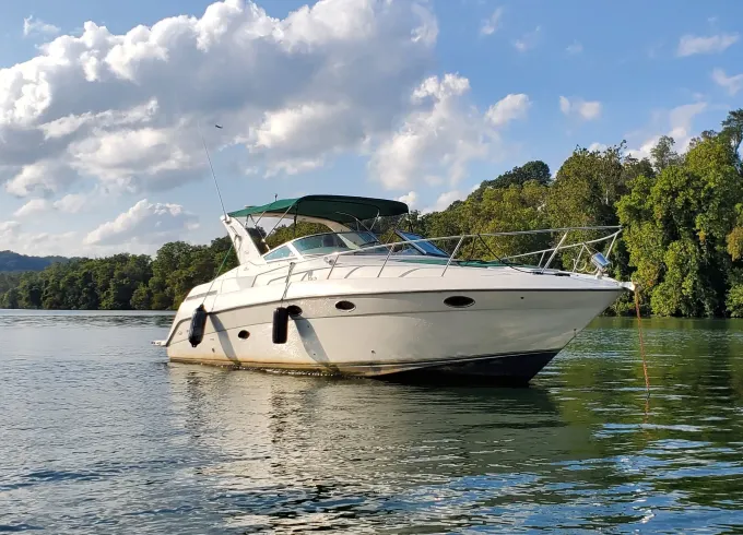 Beautiful 35ft Regal Cruiser with Swim pad