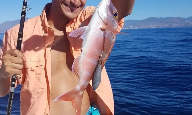 Fishing Charter in Marbella. Astondoa 36