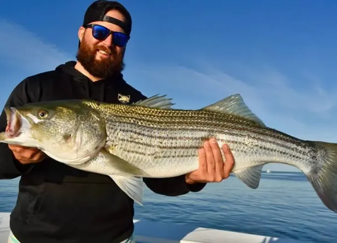 Striped Bass and Bluefin Tuna Fishing Charter in Truro, Massachusetts (26' Boat)