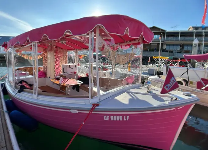 Pink party Boat cruise in San Diego Bay for up to 10 passengers