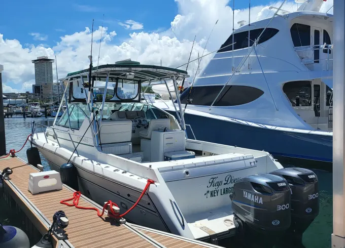 New! San Juan Beach Party Boat | Live Boricua!