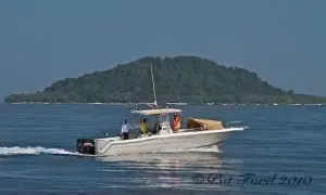Memorable Fishing Trip on 31' Stamas Center Console in Chicá, Panamá