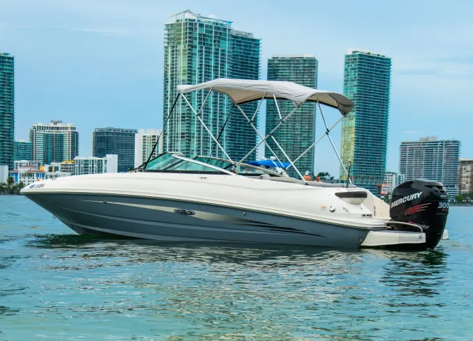 Boat Charters and Tours with Sea Ray 240 Sundeck Yacht in Fort Lauderdale