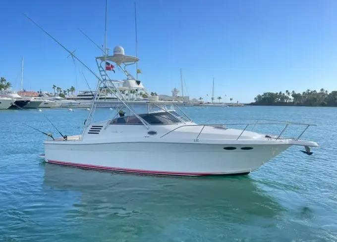 35' Sea Ray boat for rent in La Romana