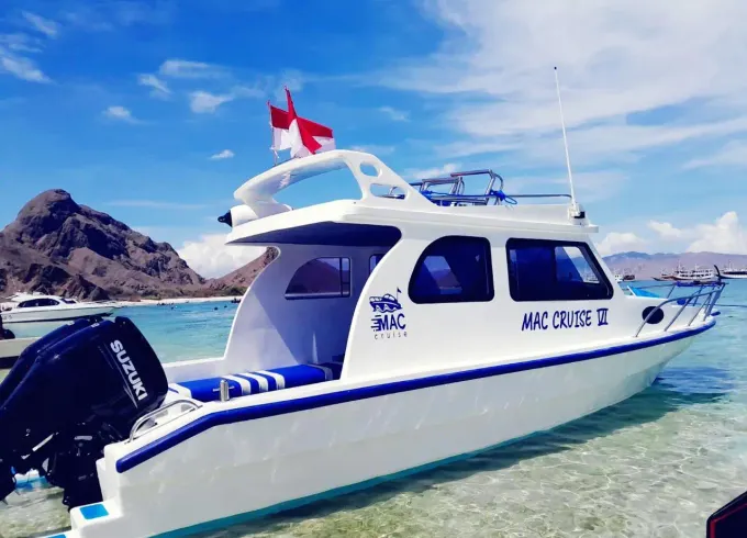 Full Day Trip by Speed Boat in the Komodo National Park