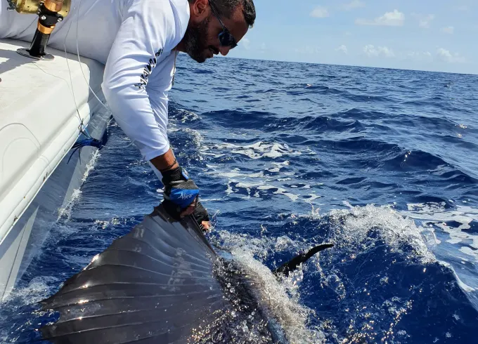 Private Charter for Sportfishing , snorkeling,  swimming pigs & turtles.