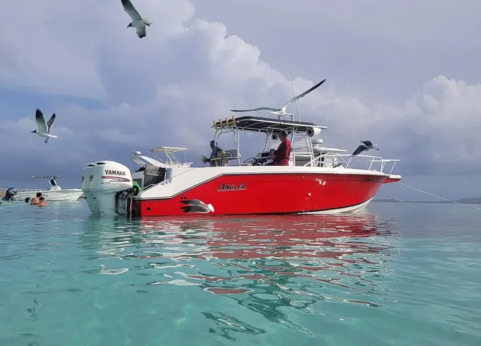 Private Boat Trip Icaco/Palomino | 31ft Angler Villa Marina Fajardo