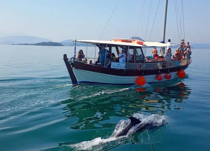 Traditional Boat Dolphin Watching Cruise – Amvrakikos Gulf (Preveza)