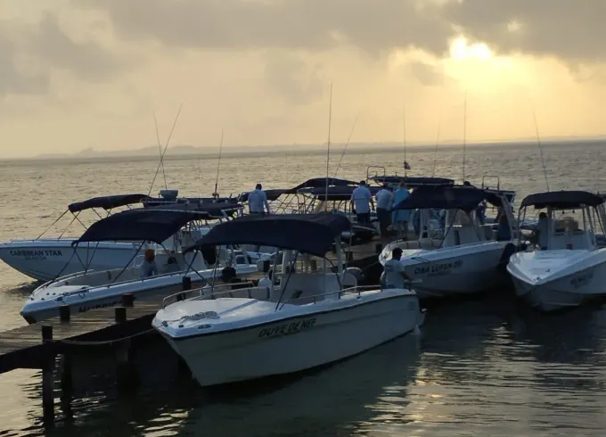 36ft to Isla Contoy & whale sharks (just seasonal)