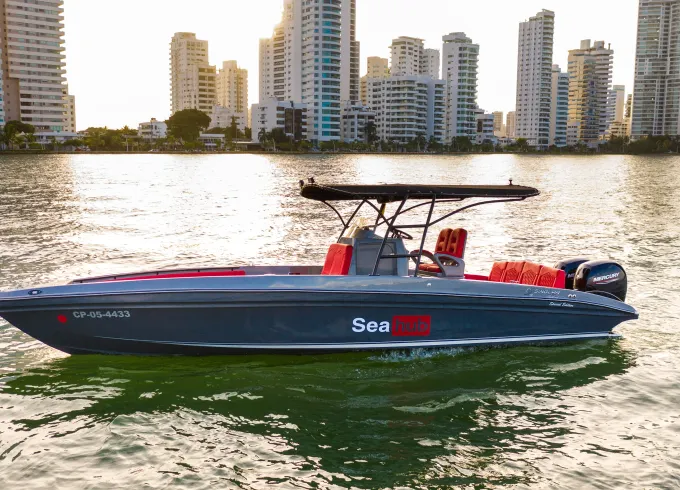 Singlar 29ft Special Edition Center Console with bathroom for 8 people