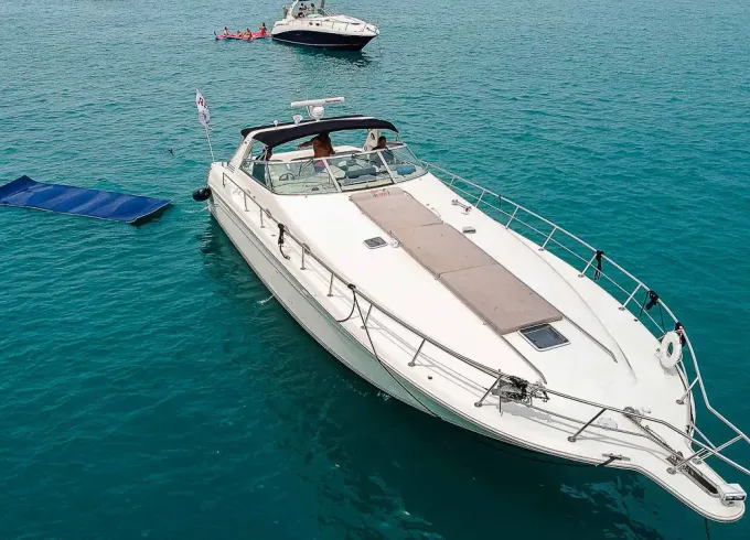 52' Sea Ray Motor Yacht - Largest Boat at Diversey Harbor – Perfect for PlayPen!