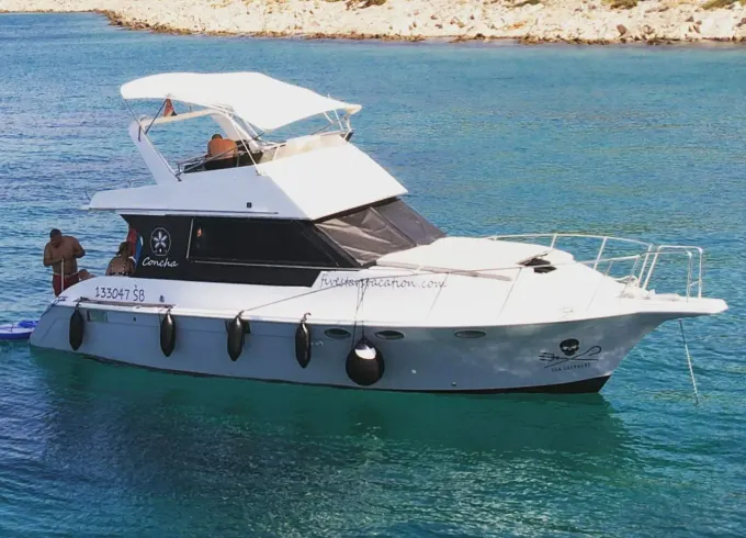 Best boat trips and lifetime memories | 36ft Trojan motor yacht
