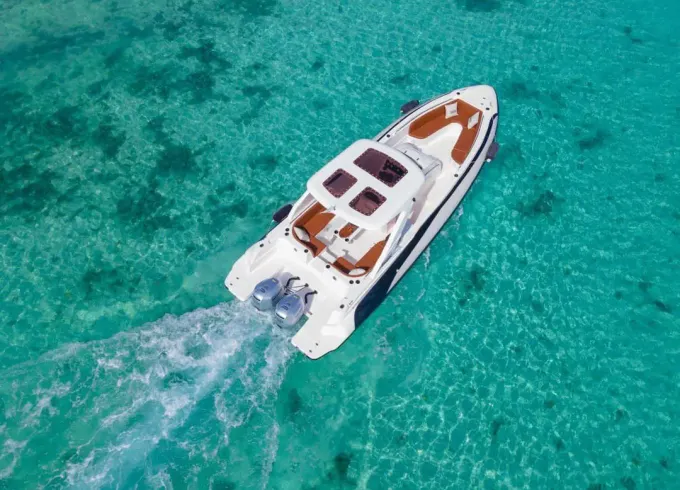 Speedboat - Private Dolphin & Snorkeling Experiences - Up to 14 Guests