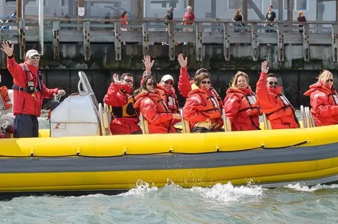 'Bay Voyager' RIB for Charter in San Francisco
