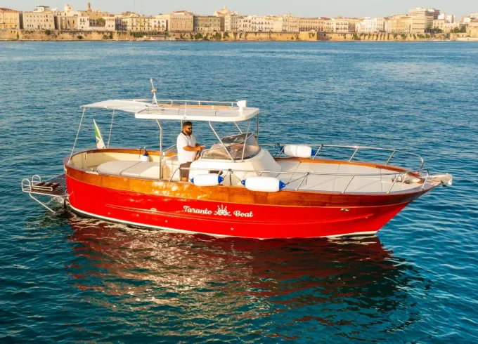 Gozzo Sorrentino 30' Motor Yacht in Taranto
